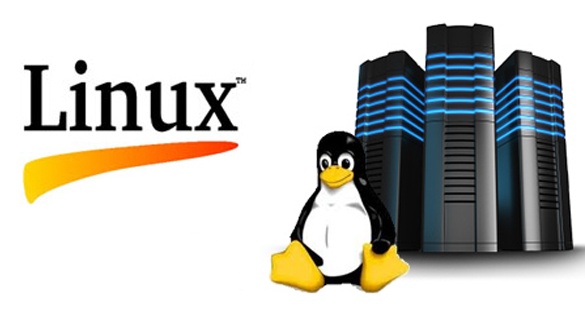 آزمون های شرکت Linux